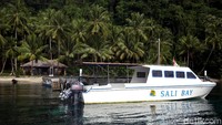 Jika berminat untuk menginap dan menyelam di Sali Bay Resort siapkan dana sekitar Rp 2 jutaan untuk tarif menginap per malam di resor tersebut.