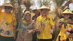 Wajah Happy Mayangsari saat Turun ke Sawah