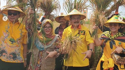 Wajah Happy Mayangsari saat Turun ke Sawah
