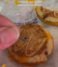 Saking Kerasnya, Pria Ini Lindas Sandwich Beku Pakai Mobil!