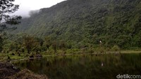 Telaga Sigebyar Mangunani merupakan distinasi wisata yang tergolong baru di Kecamatan Petungkriyono. Dari 8 hektar luasan telaga, baru 2 hektar yang terbuka. Sedangkan 6 hektar lainnya masih dipenuhi dengan gambut. (Robby Bernardi/detikcom)