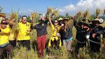 Wajah Happy Mayangsari saat Turun ke Sawah