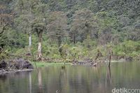 Telaga Sigebyar Tempat Wisata Di Pekalongan Nan Cantik