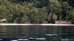 Menikmati Keindahan Alam Halmahera Selatan di Sali Bay Resort