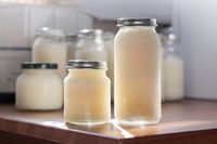 Jadi Kontroversi, Kafe Ini Sediakan Smoothies Kolostrum