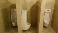 Arsiteknya kebanyakan main The Sim dan lupa memutar posisi urinoir. Istimewa/Dok. Boredpanda.