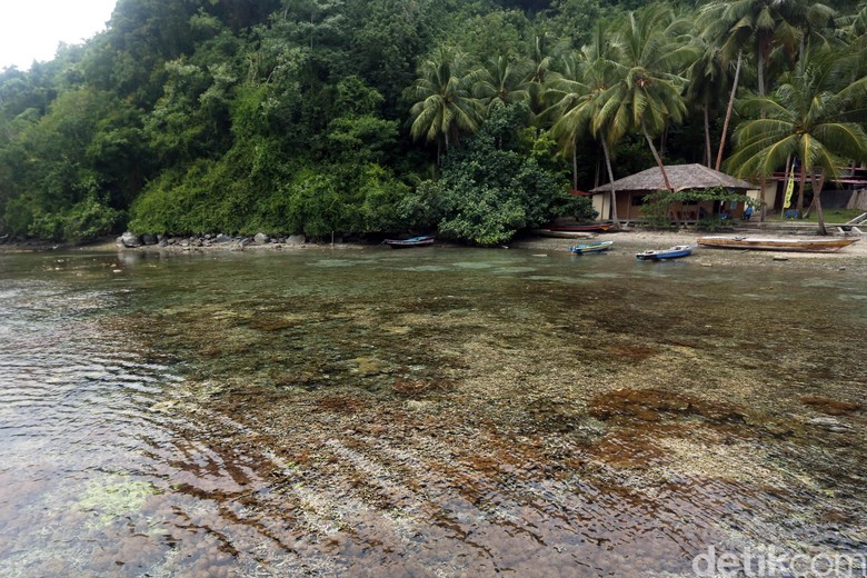 Bom Ikan Perusak Laut Halmahera Selatan Bikin Investor Asing Kesal Bom Ikan Perusak Laut Halmahera Selatan Bikin Investor Asing Kesal