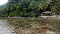 Pesona bawah laut yang dimiliki Pulau Sali ini belum banyak diketahui oleh wisatawan, sehingga tak heran suasana di sekitar pulau itu masih sepi dan tenang.