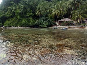 Bom Ikan Perusak Laut Halmahera Selatan Bikin Investor Asing Kesal