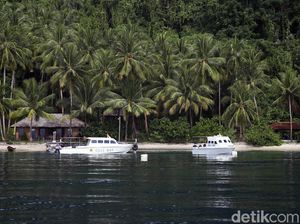 Menikmati Keindahan Alam Halmahera Selatan di Sali Bay Resort