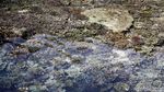Menikmati Keindahan Alam Halmahera Selatan di Sali Bay Resort