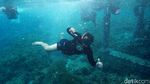 Pesona Alam Bawah Laut Pulau Sali Mutiara dari Timur Indonesia