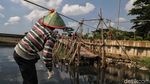 Cerita Perahu Eretan yang Memangkas Kemacetan Jakarta