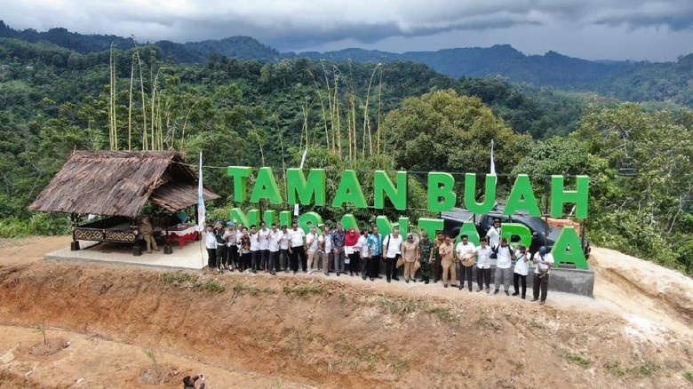 Antam Kembangkan 14 Varian Buah Asli Indonesia di Bogor Antam Kembangkan 14 Varian Buah Asli Indonesia di Bogor
