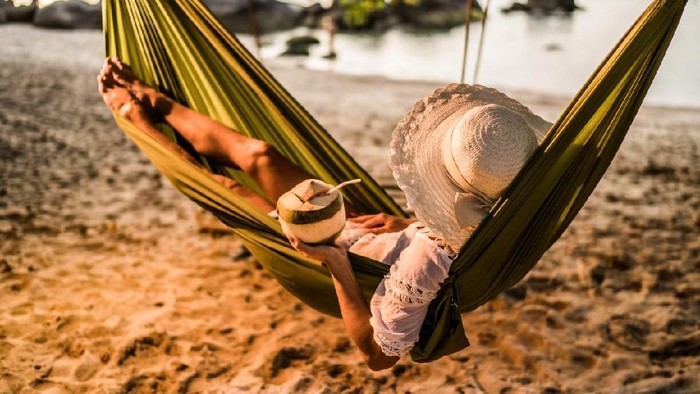 Ilustrasi hammock