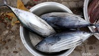 Tempat tinggal mereka yang dekat dengan laut membuat bahan makanan seperti ikan segar berbagai jenis dan ukuran dijual di pasar tersebut.