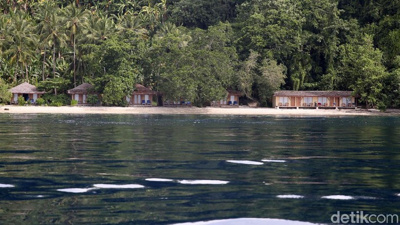Foto: Agung Pambudy/detikcom Foto: Agung Pambudy/detikcom