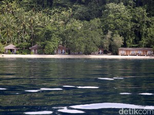 Alasan Investor Asing Ramai Serbu Halmahera Selatan Bangun Resor