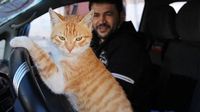 Kisah Mohammad Aljaleel, Pria Penyayang Kucing dari Aleppo Suriah