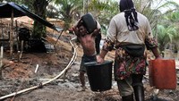 Minyak mentah dipindahkan menggunakan ember dan jeriken di lokasi pengeboran minyak ilegal di Jambi. Antara Foto/Wahdi Septiawan.