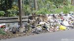 Kasihan, Kera Ekor Panjang Ini Mengorek Sampah untuk Makan