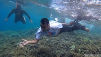 Menyelam di laut yang dipenuhi terumbu karang nan menawan tentunya menjadi pengalaman yang tak terlupakan bagi para kru Kapal Bahtera Seva III.