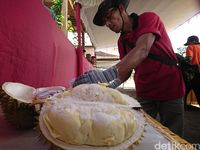 Cari Varietas Unggul,Trenggalek Gelar Kontes Durian