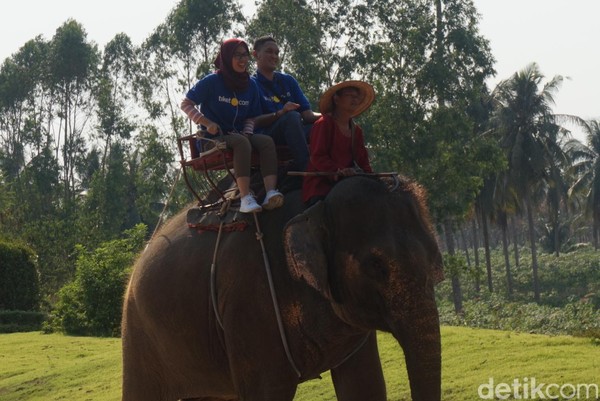 Traveler bisa menemukan sejumlah atraksi di sini. Mulai dari naik gajah dan berjalan-jalan di sekitar Suanthai (Shinta/detikcom) Traveler bisa menemukan sejumlah atraksi di sini. Mulai dari naik gajah dan berjalan-jalan di sekitar Suanthai (Shinta/detikcom)
