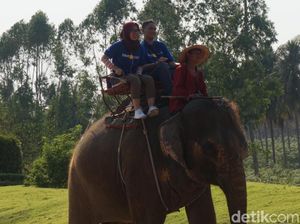 Liburan Bersama Keluarga di Pattaya, Kunjungi Taman Rekreasi Ini