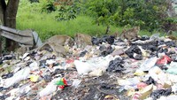 Gerombolan kera tersebut kerap mengais makanan pada siang hari. Namun, tak jarang pula mereka naik dari hutan di Curug Cimahi sejak pagi hingga sore hari.