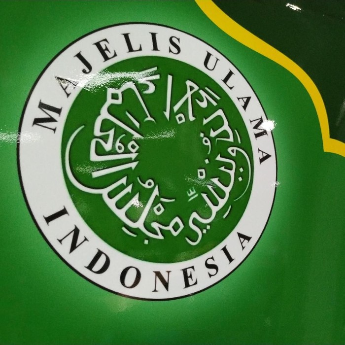 Logo MUI