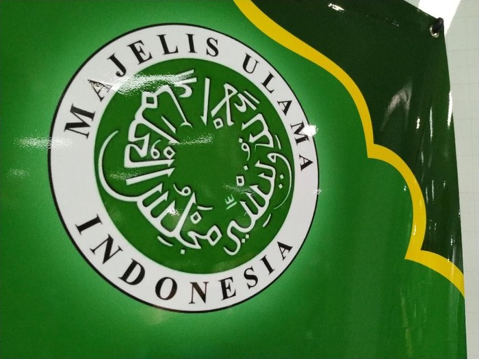 Logo MUI