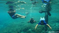 Asyiknya para kru Kapal Bahtera Seva III melakukan aktivitas menyelam di laut saat hari libur bekerja. Asyik sekali yah.