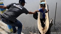 Dedi pun bercerita ia pernah hampir meregang nyawa demi pekerjaan ini. Kala itu perahunya dihantam badai hingga menyebabkan dirinya terombang-ambing. Pasrah adalah hal terakhir yang bisa dia lakukan.
