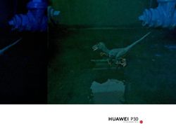 Blind Test Mengadu Mode Malam Huawei P30 dan Pixel 3
