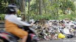 Kasihan, Kera Ekor Panjang Ini Mengorek Sampah untuk Makan