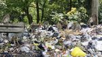 Kasihan, Kera Ekor Panjang Ini Mengorek Sampah untuk Makan