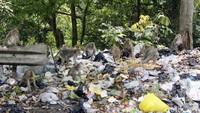 Kera-kera itu tampak asyik mengorek-ngorek sampah untuk mencari makanan dari dalam kantung plastik.