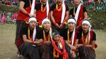 Foto: Manusia Terkecil di Dunia yang Suka Traveling