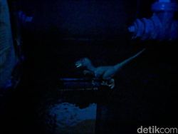 Blind Test Mengadu Mode Malam Huawei P30 dan Pixel 3