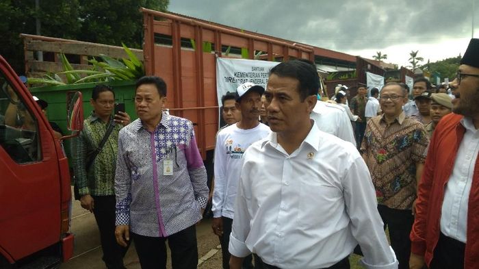 Foto: Sudirman Wamad/detikcom Foto: Sudirman Wamad/detikcom