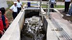 Ini Instalasi Limbah PT RUM untuk Kurangi Bau Busuk