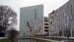 Foto: Saat Sakura Bermekaran di Jerman
