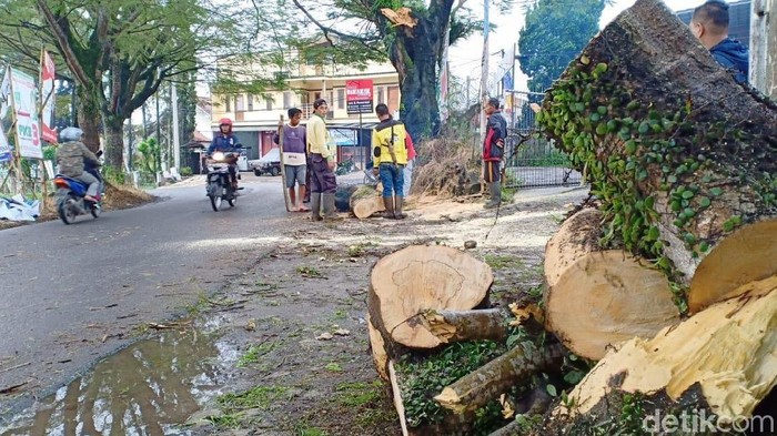 Dahan Tumbang Timpa Pengendara di Jalur Wisata Lembang