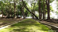 Pulau tersebut sangat rindang dengan pepohonan besar sehingga bisa mengusir hawa panas selama perjalanan dengan perahu nelayan yang kecepatannya cuma 10 km/jam (Muhammad Idris/detikcom) 