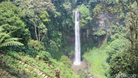 Curug ini tingginya sekitar 80 meter (Yudha Maulana/detikcom)