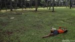 Asrinya Taman Hutan Kota di Utara Jakarta