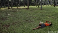 Tak sedikit warga yang datang untuk menikmati udara segar di tengah terik sinar matahari yang menyengat tubuh.