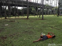 7 Taman di Jakarta Utara, Tiket Masuk Gratis