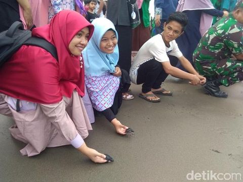 Keren! Upaya Mahasiswa Aceh Selamatkan Telur Penyu ini Patut Ditiru